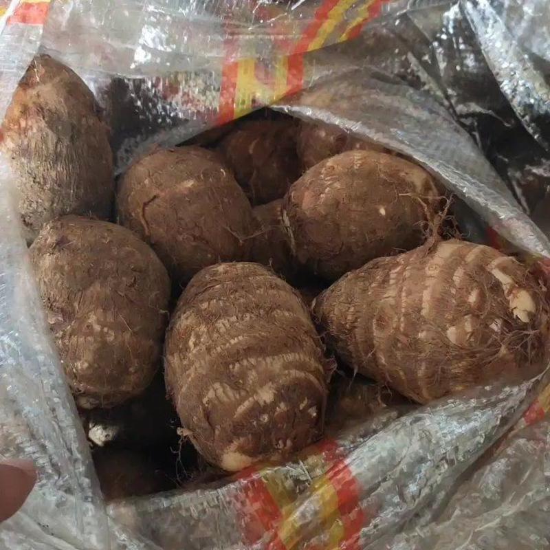 山东芋头种豆包毛芋头电商超市批发零销全国发货