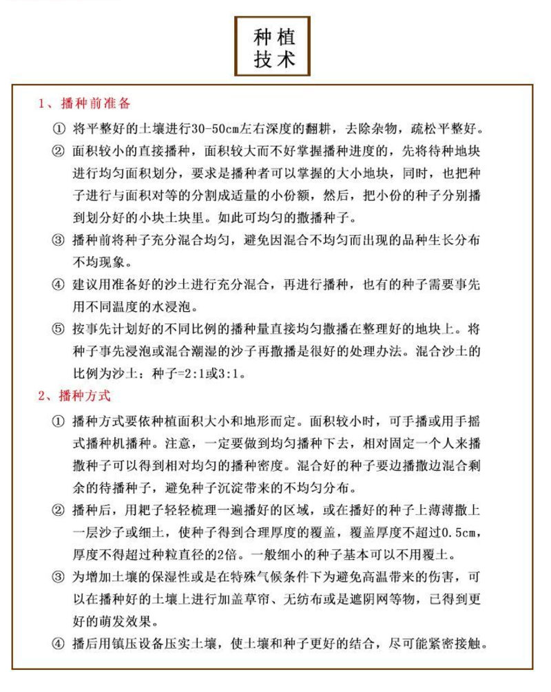 提摩西种子兔子粮草正宗猫尾草种子多年生长宠物豚鼠龙猫爱吃