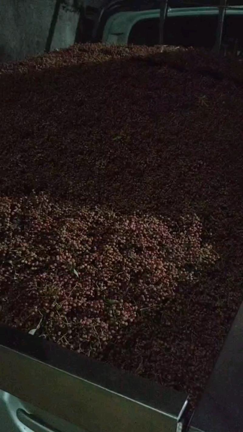 韩城红花椒，打粉优质，麻味浓郁，价格优惠，客户反响很好