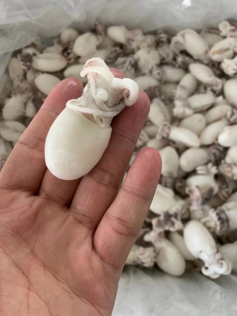 墨鱼仔去皮去内脏墨鱼仔火锅食材目鱼仔章鱼仔