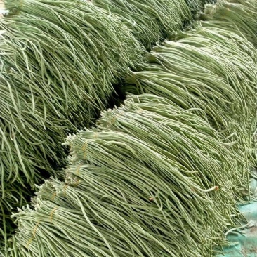 缸豆，十八豆，长豆角紫光园茄，尖椒，青椒，线椒西红柿