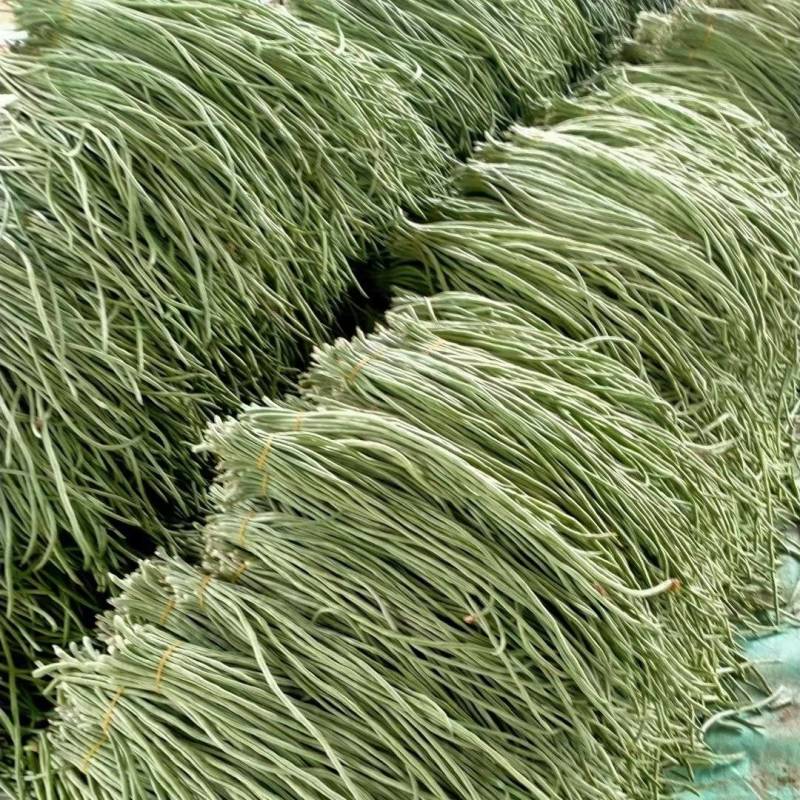 缸豆，十八豆，长豆角紫光园茄，尖椒，青椒，线椒西红柿