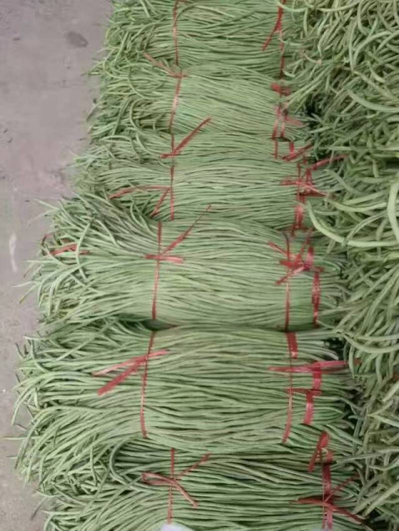 缸豆，十八豆，长豆角紫光园茄，尖椒，青椒，线椒西红柿