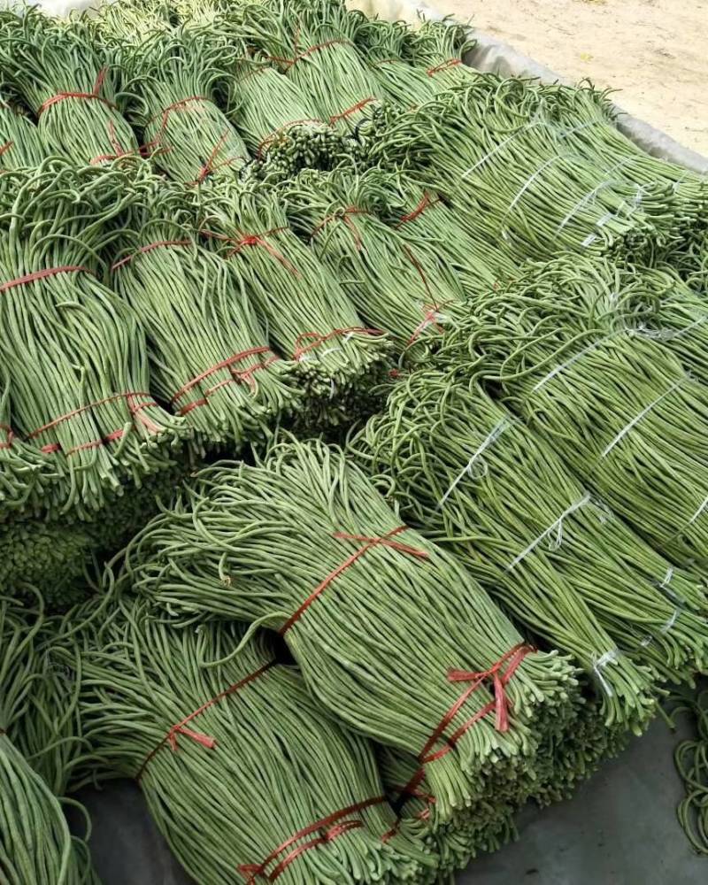 缸豆，十八豆，长豆角紫光园茄，尖椒，青椒，线椒西红柿