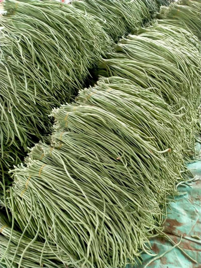 缸豆，十八豆，长豆角紫光园茄，尖椒，青椒，线椒西红柿