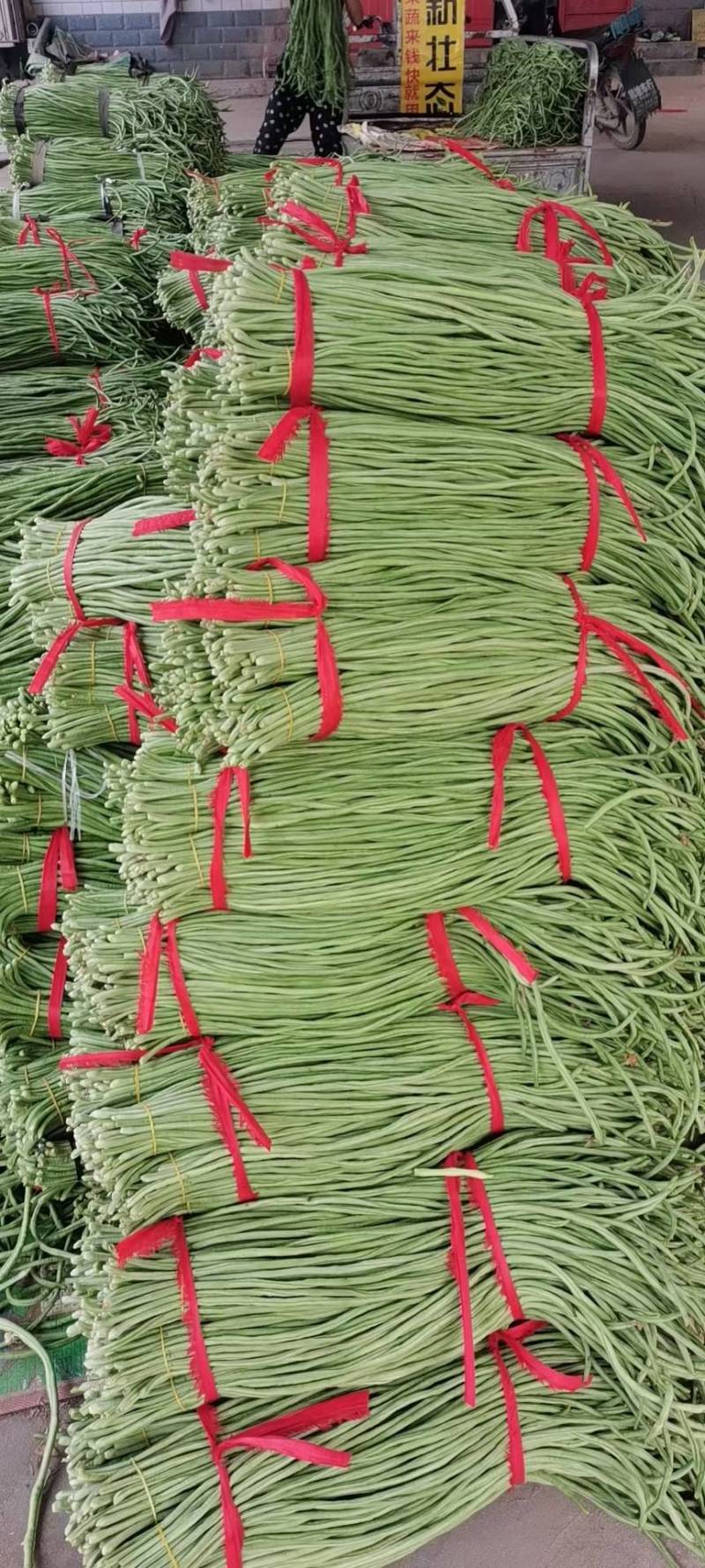 缸豆，十八豆，长豆角紫光园茄，尖椒，青椒，线椒西红柿
