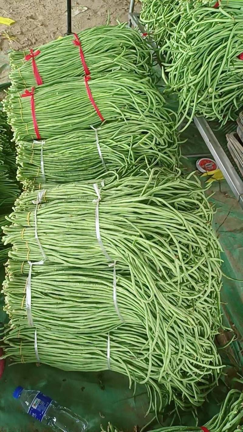 缸豆，十八豆，长豆角紫光园茄，尖椒，青椒，线椒西红柿