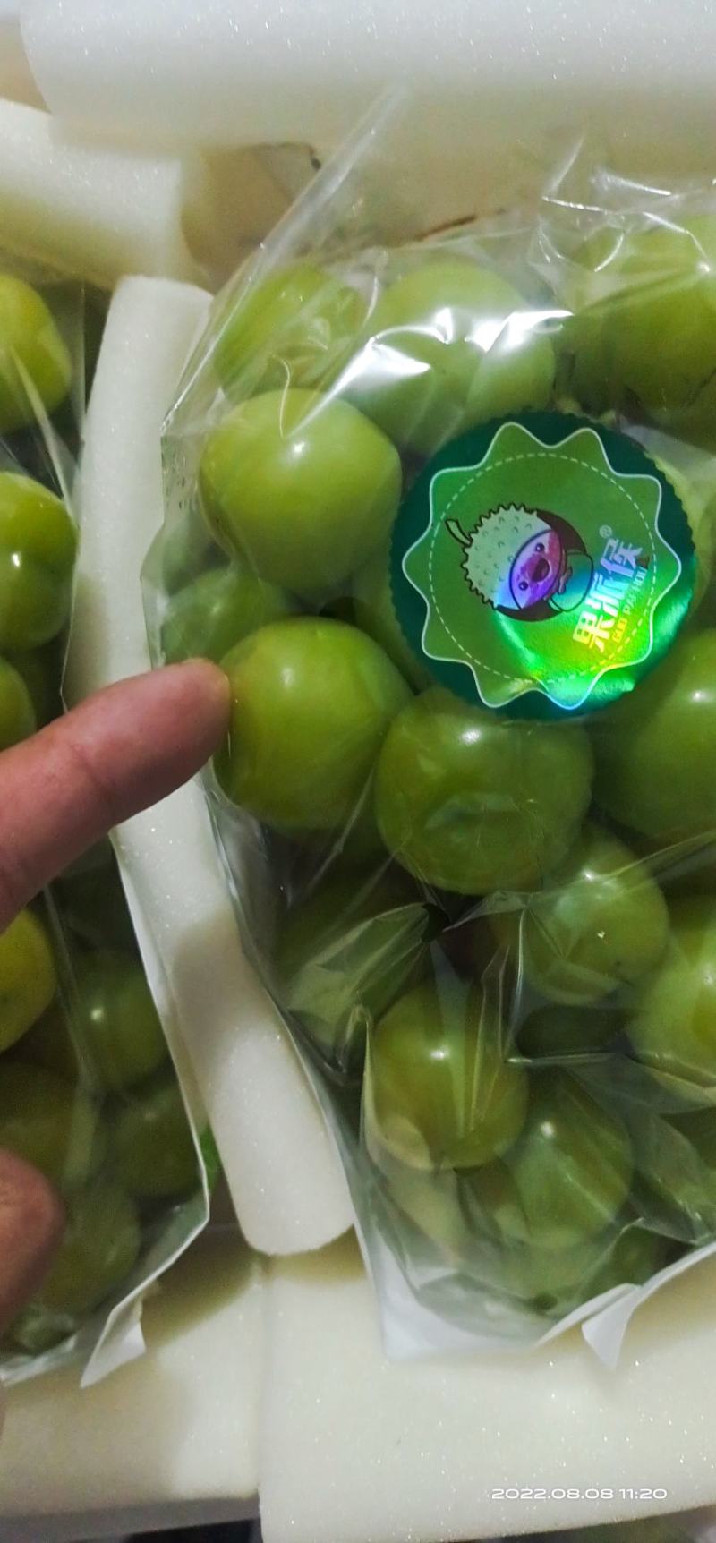 【精品推荐】青岛阳光玫瑰产地直发！一手货源