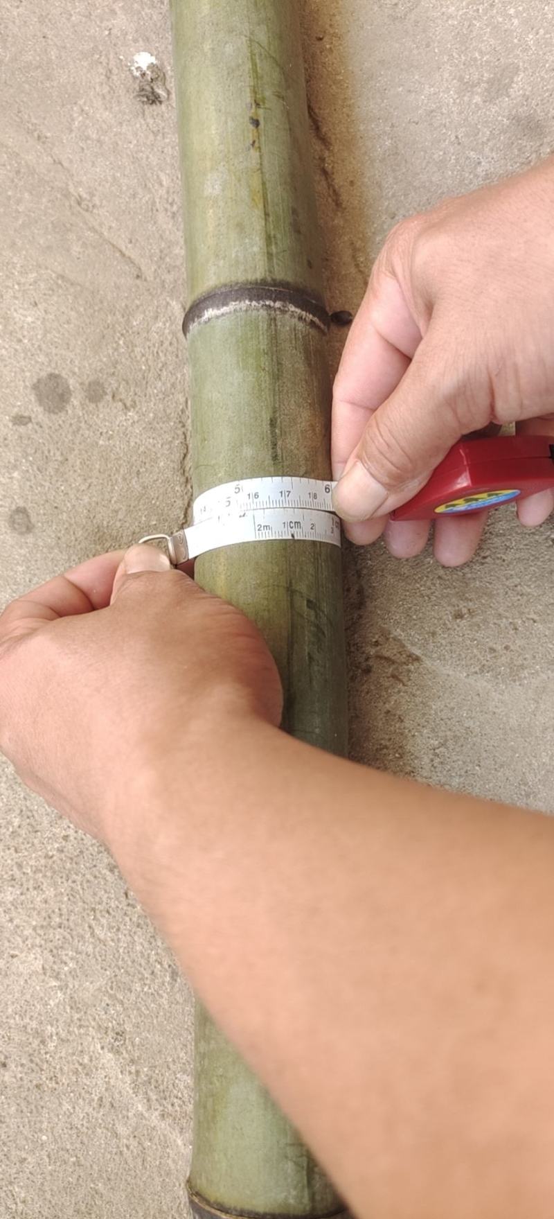 大量毛竹兜出售大量漂亮老竹兜