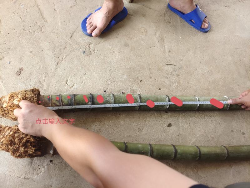 大量毛竹兜出售大量漂亮老竹兜