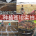 金线莲干货批发台湾红霞一手货源