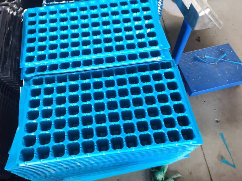 育苗穴盘