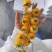 迷你多菜小西红柿