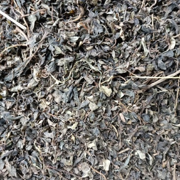 马齿苋无杂草无泥沙无老根，产地直发，欢迎有实力客户实地考