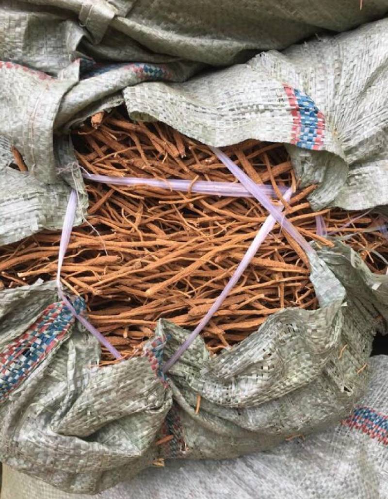 金铁锁干品贵州中药材对叶七独定子威宁1kg仿野