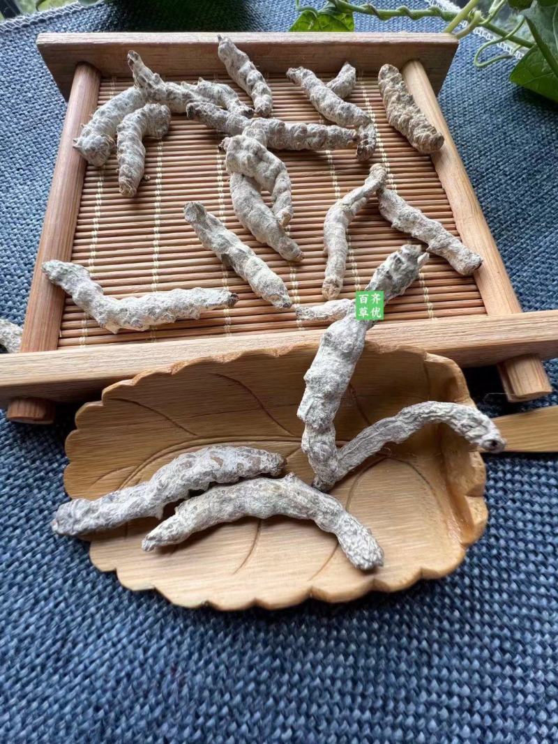 云南药材僵蚕天虫、僵虫、白僵蚕桑叶桑枝蚕沙5