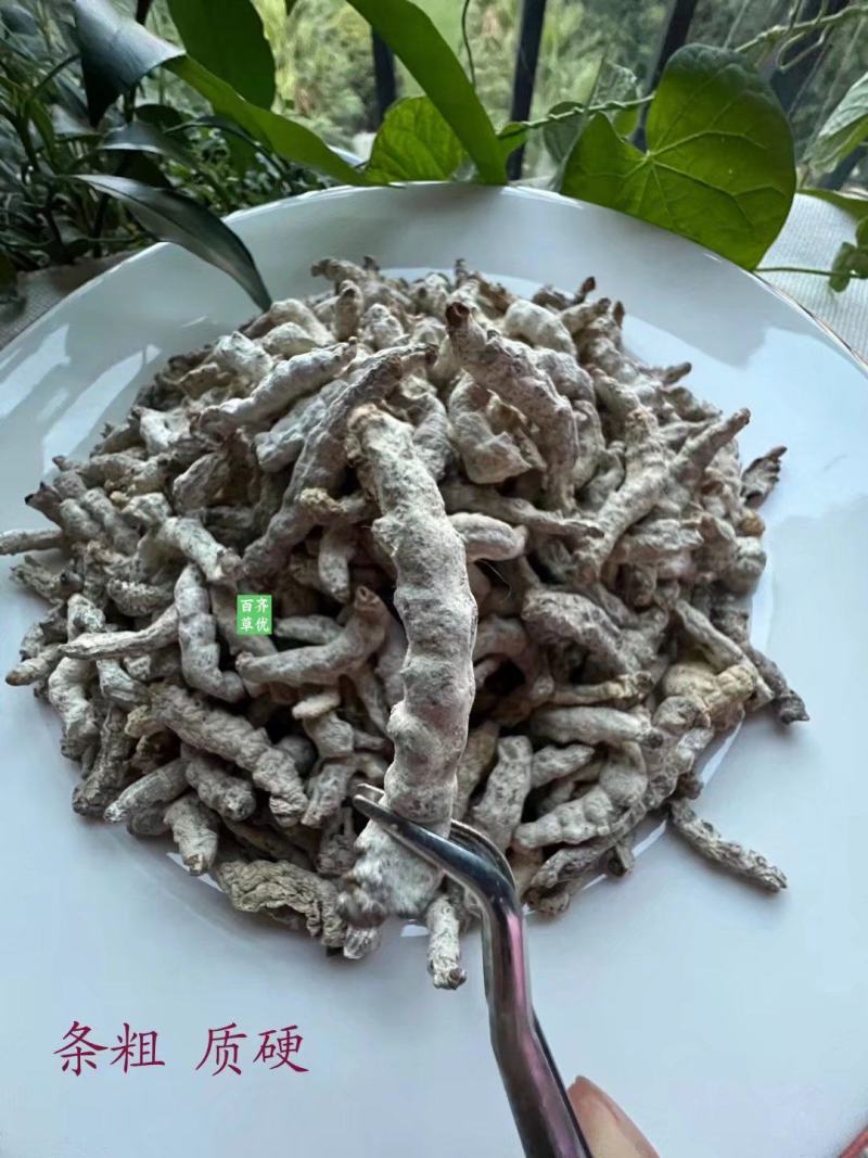 云南药材僵蚕天虫、僵虫、白僵蚕桑叶桑枝蚕沙5