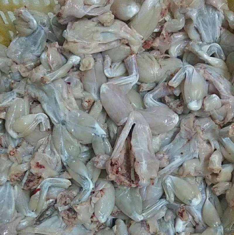 冰鲜牛蛙