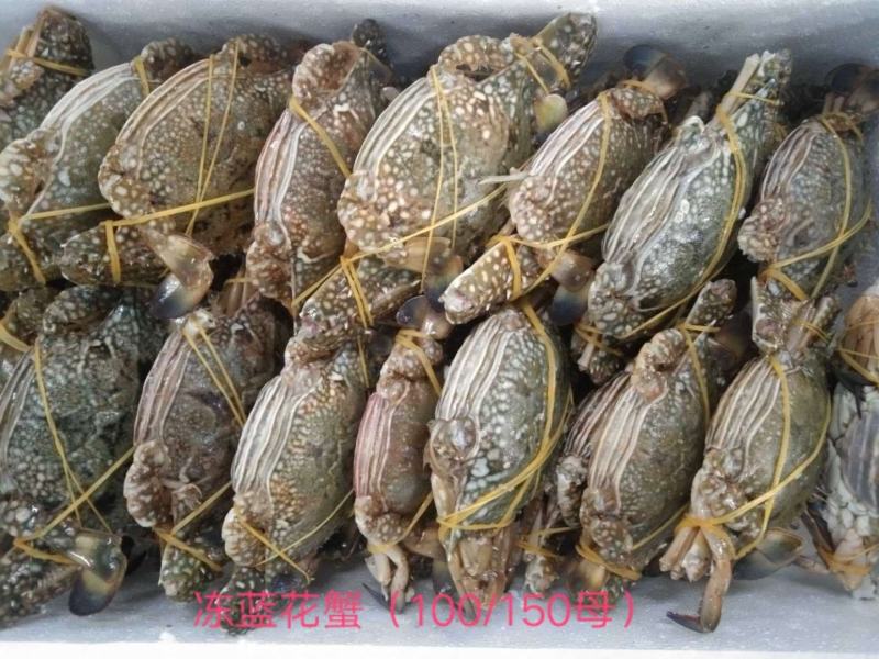 湛江本地捕捞的天然蓝花蟹，个头肥美，肉质鲜嫩。
