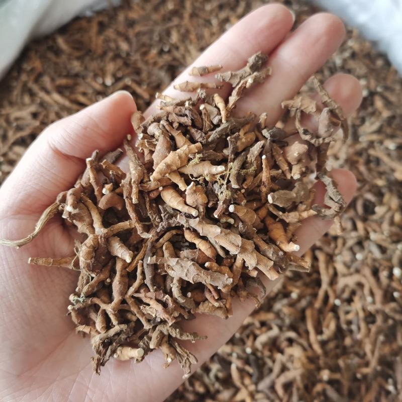 九节菖蒲节菖蒲净货无硫中药材大全欢迎选购