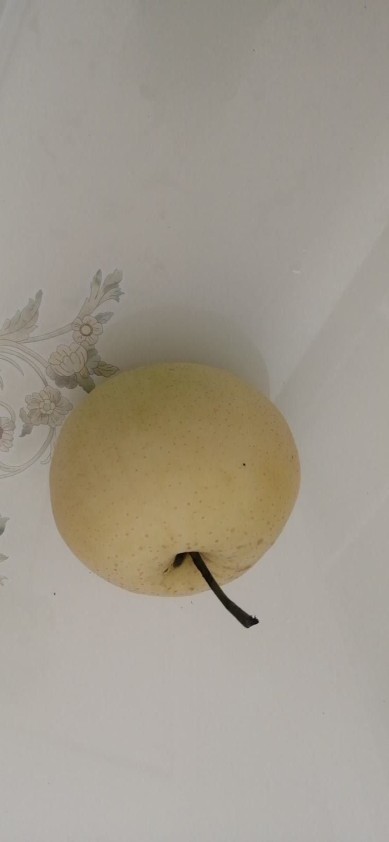 雪青梨