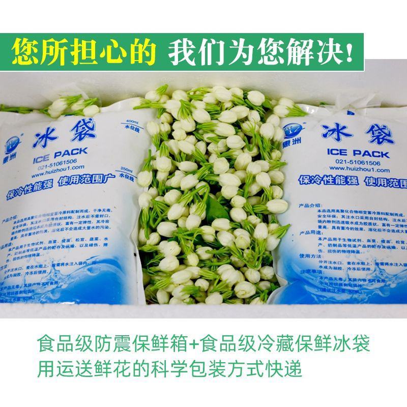 广西横县鲜鲜茉莉花菜用茉莉花现摘现发空运包邮保质保量