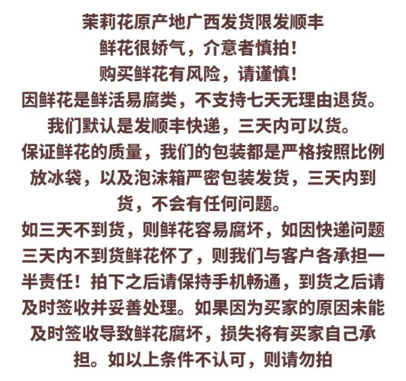 广西横县鲜鲜茉莉花菜用茉莉花现摘现发空运包邮保质保量