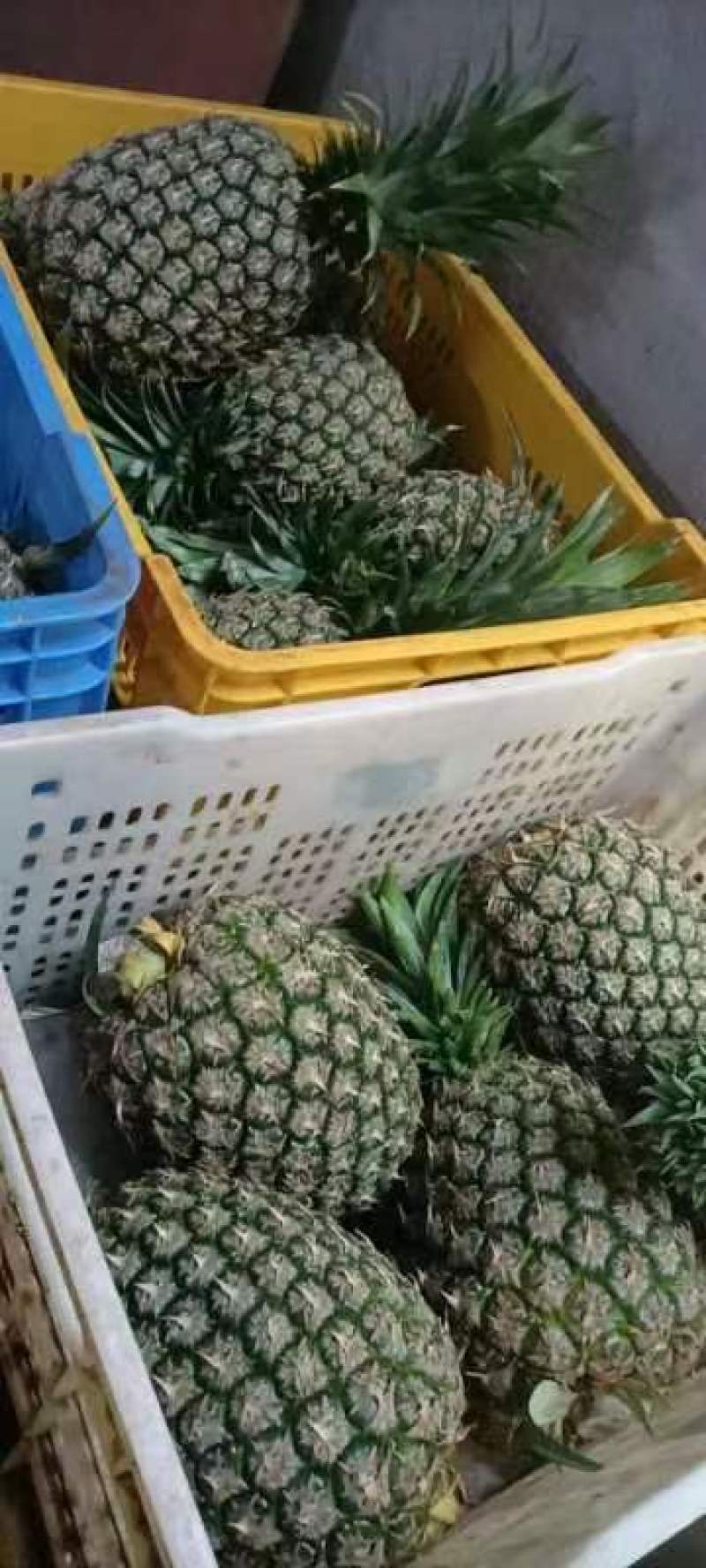 西瓜凤梨，漂亮清甜，您一定会喜欢