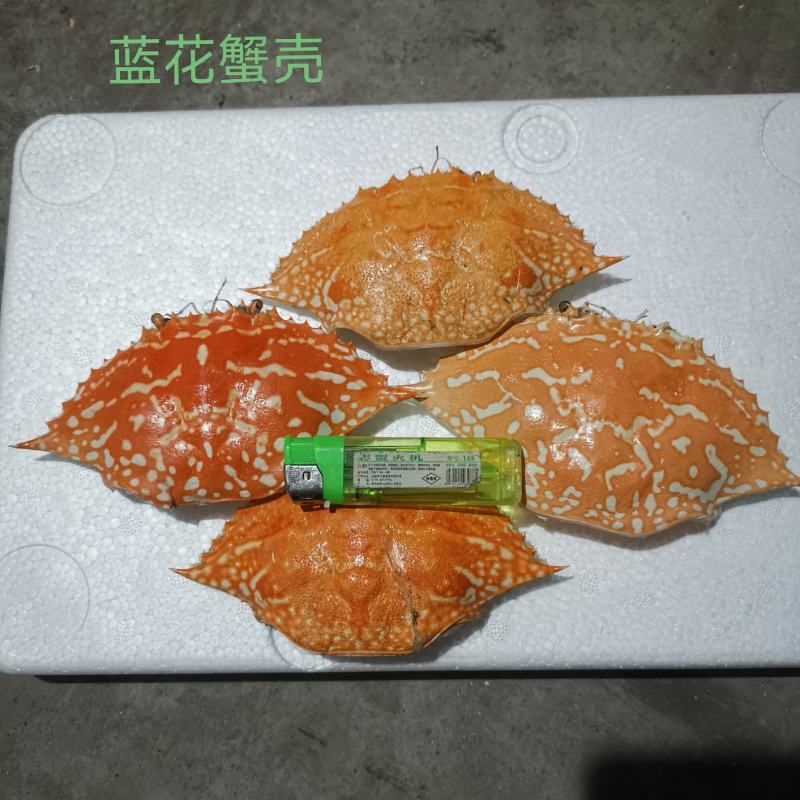 蓝花、红花、蓝蟹、三点蟹壳