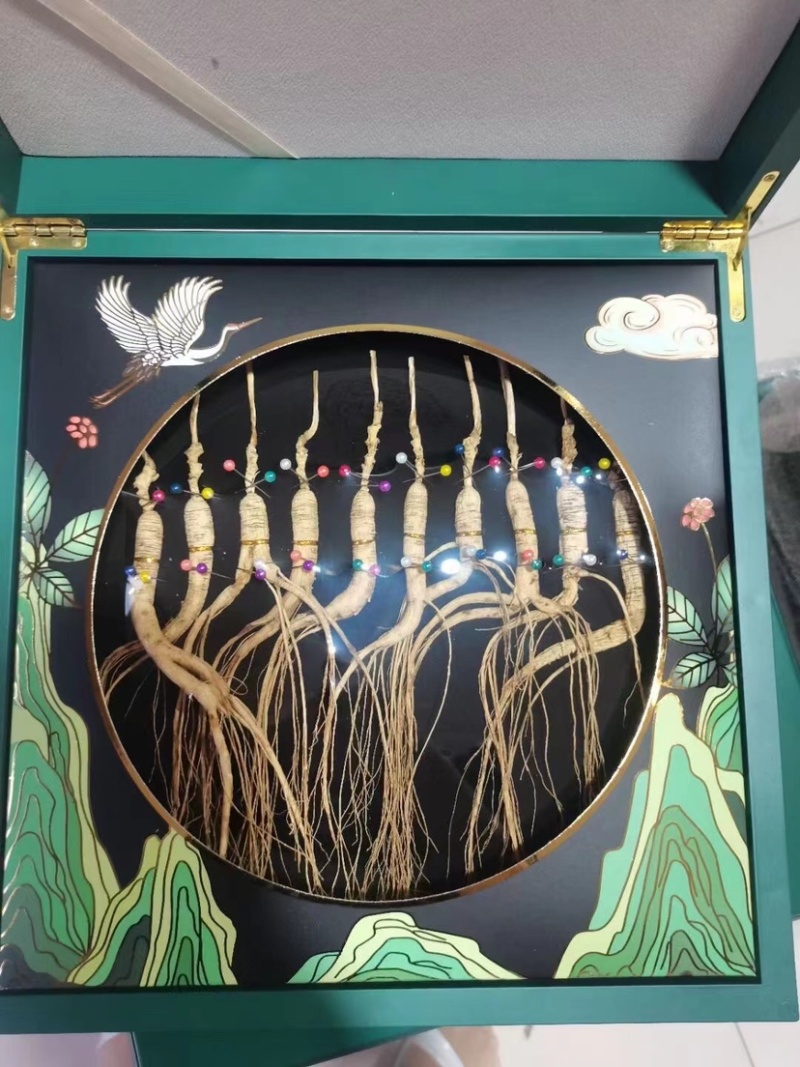 批发林下参礼盒（生晒林下参，精品礼盒可随意搭配定制）