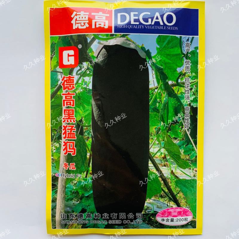 德高黑猛犸冬瓜种子一代杂交种高产抗病耐涝优质抗逆性强