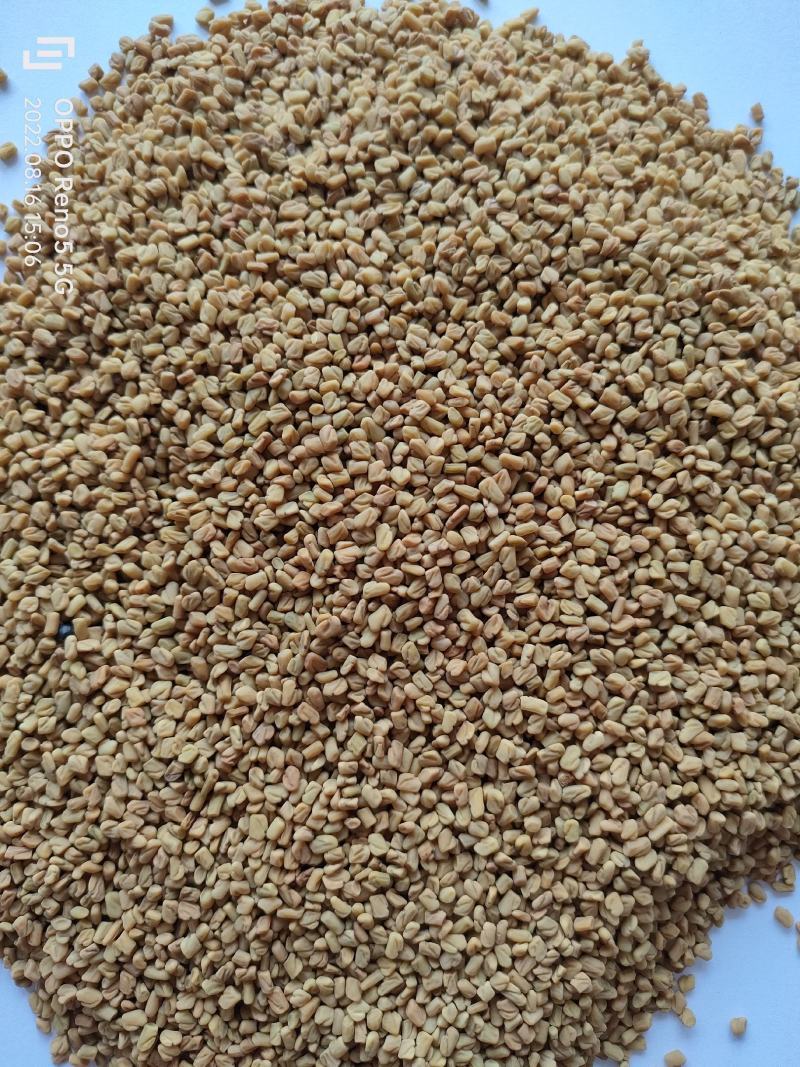 （热销）芦巴子苦豆香草籽葫芦巴祥泰药材栈中药材批
