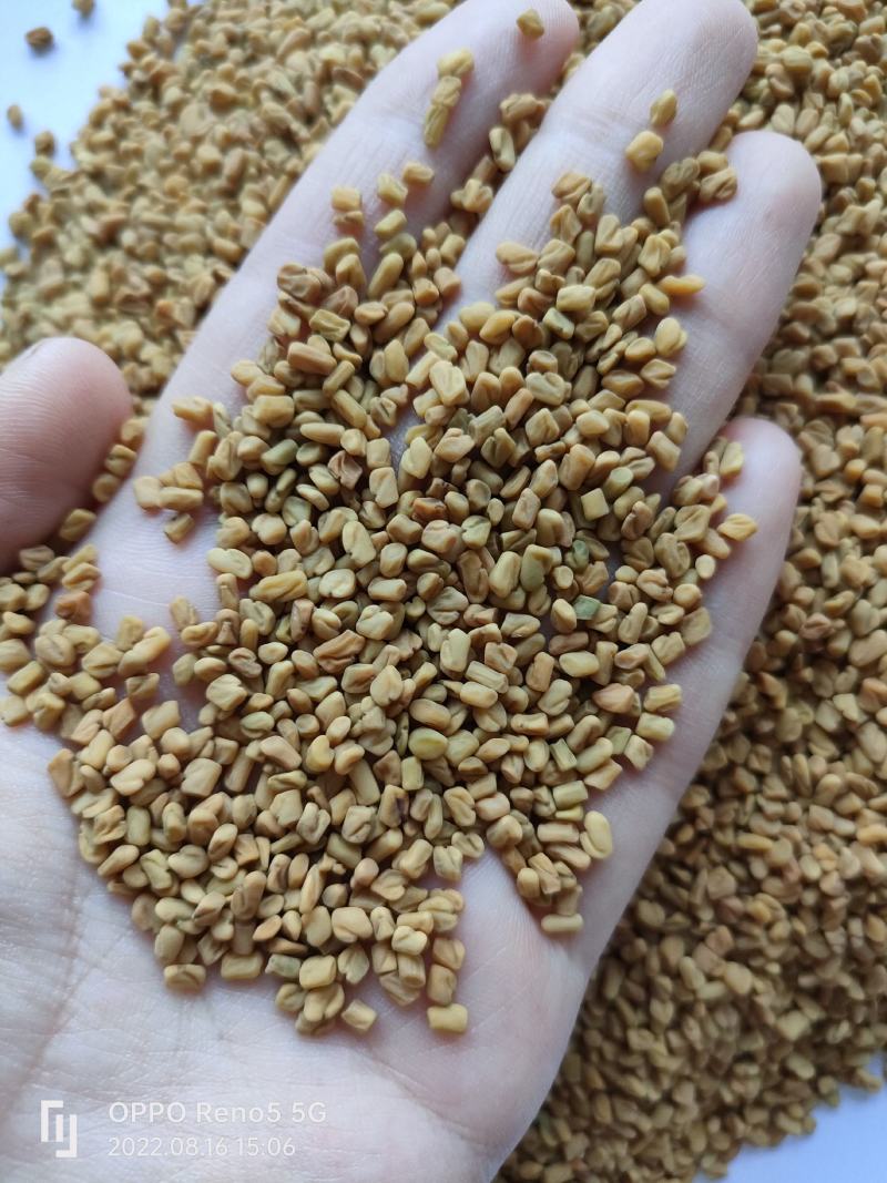 （热销）芦巴子苦豆香草籽葫芦巴祥泰药材栈中药材批