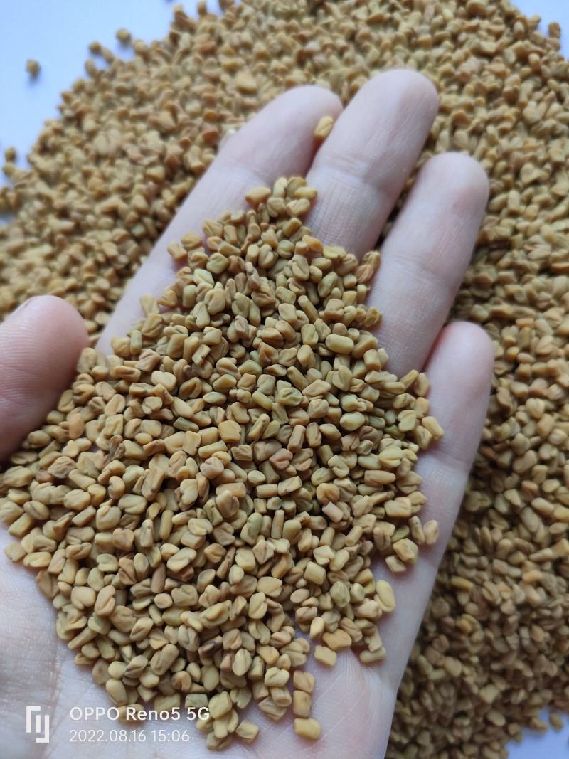 （热销）芦巴子苦豆香草籽葫芦巴祥泰药材栈中药材批