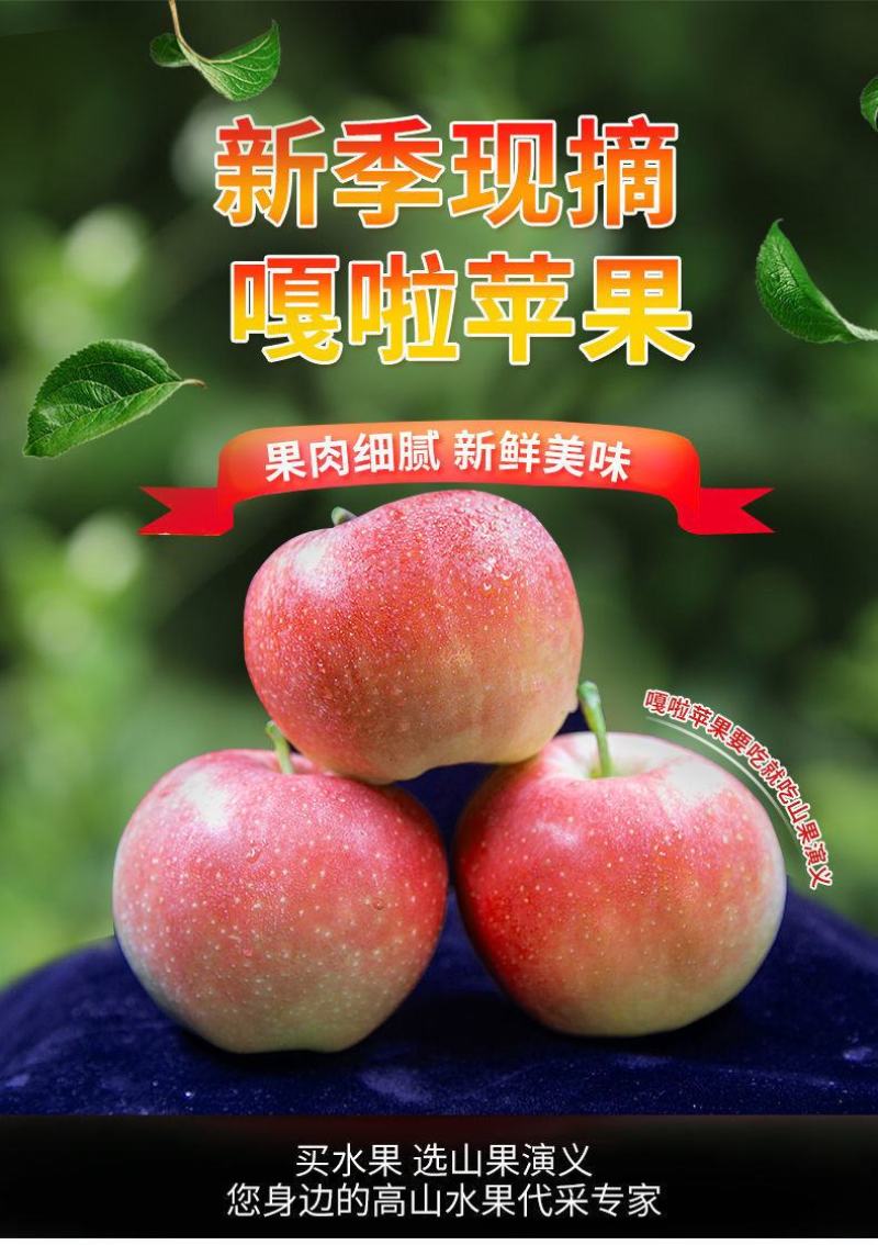 嘎啦苹果高山苹果陕西嘎啦苹果，新鲜苹果，