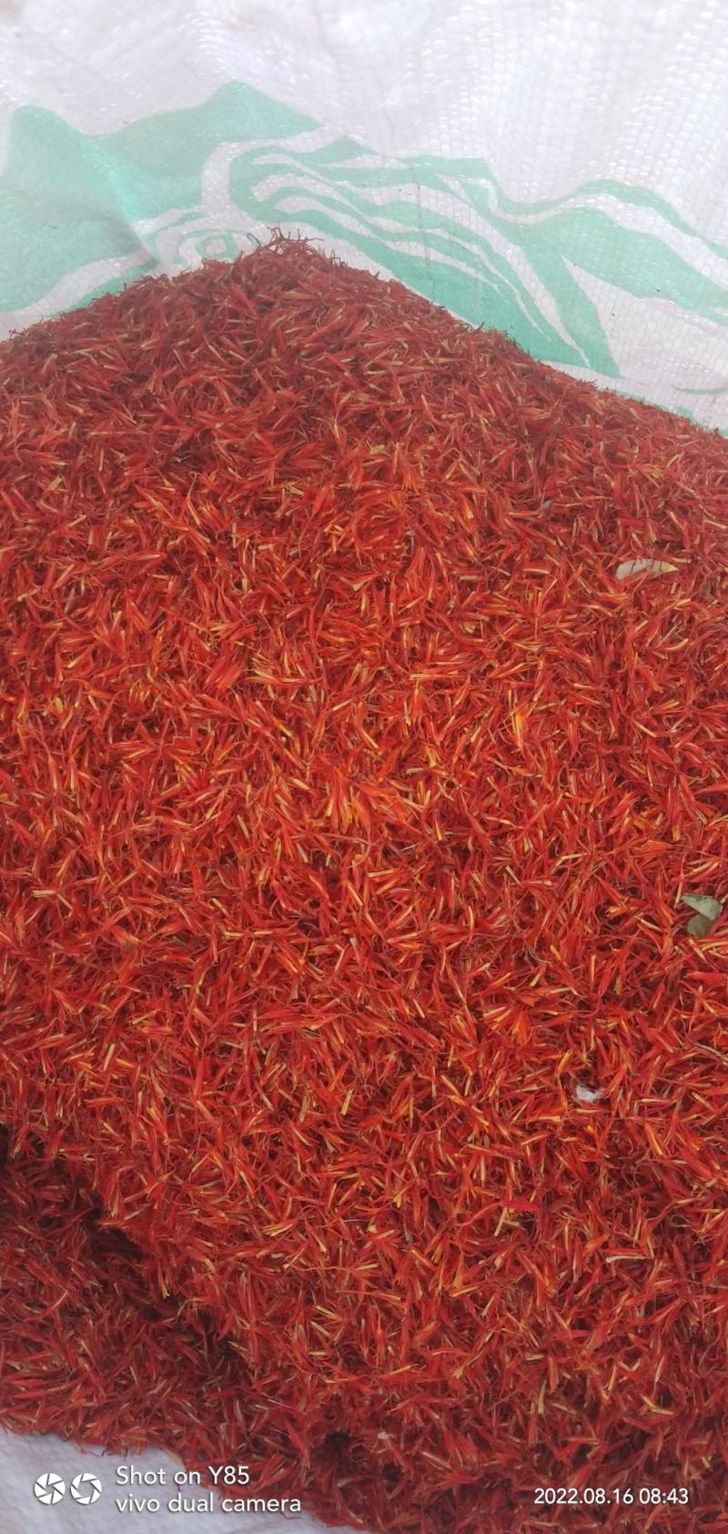 新疆伊犁红花
