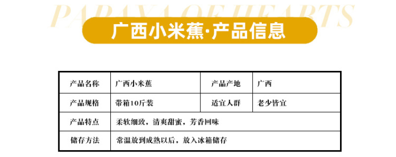 广西小米蕉农家自种小米蕉现摘发货软糯香甜一件代发
