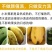 广西小米蕉农家自种小米蕉现摘发货软糯香甜一件代发