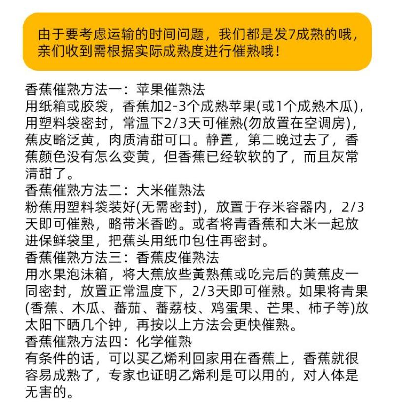 广西小米蕉农家自种小米蕉现摘发货软糯香甜一件代发
