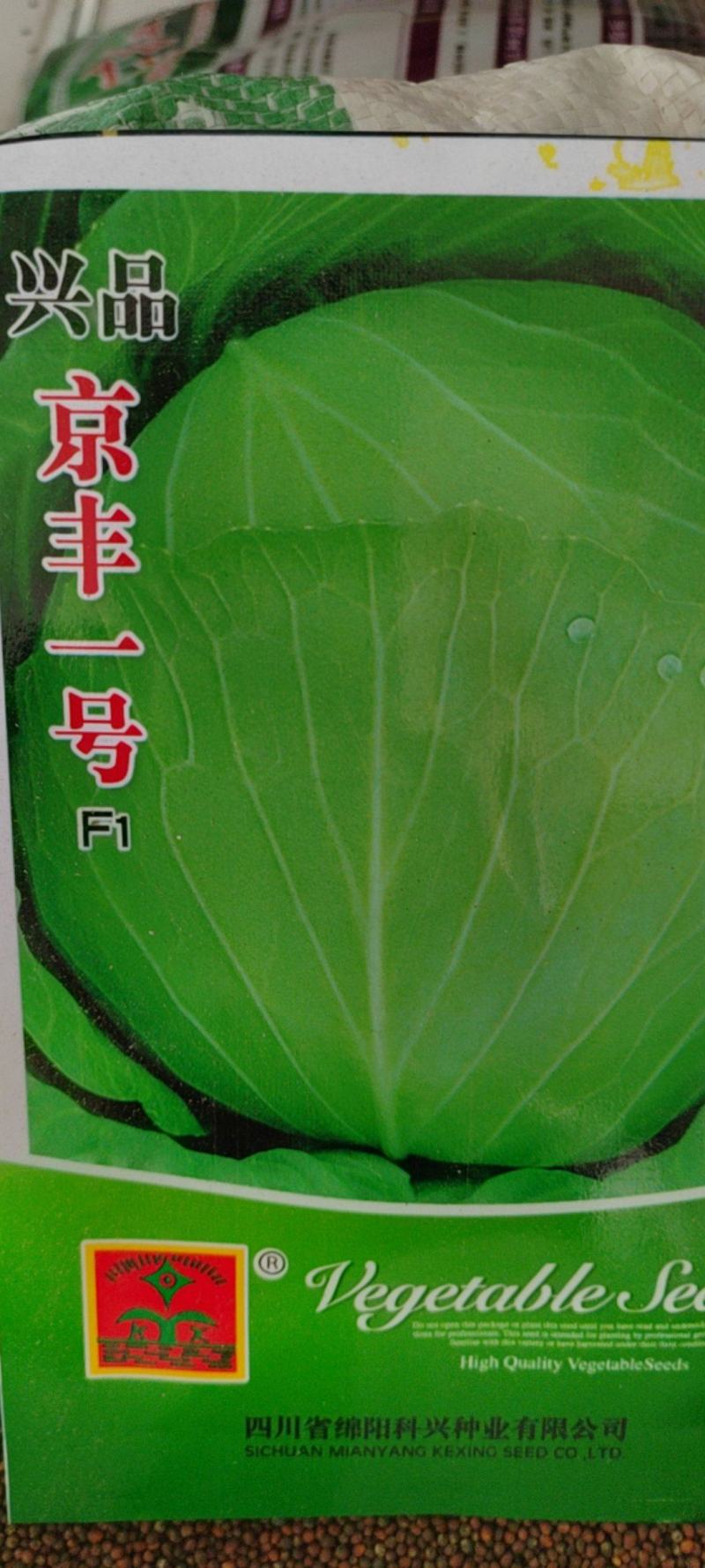 京丰一号包菜种子甘蓝种子莲花白种子圆白菜种子京丰莲白种子