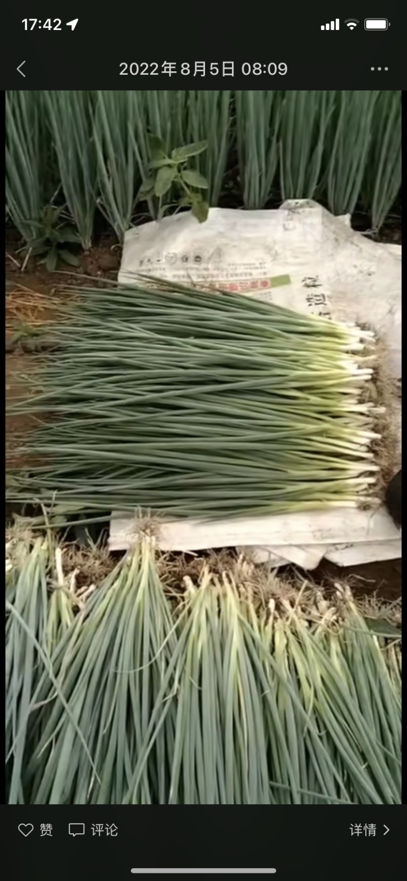 香葱吉林特产产区，货源充足，全国发货保证质量