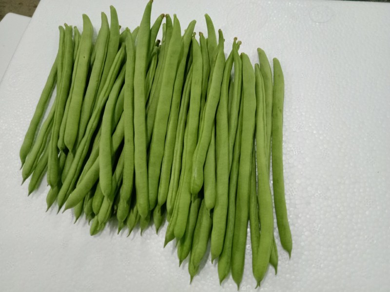 架豆王，云南小金豆，适应各种规格各种包装，产地一手货。