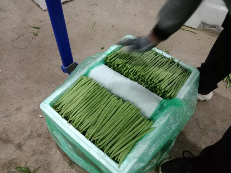 架豆王，云南小金豆，适应各种规格各种包装，产地一手货。