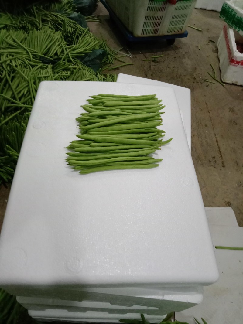 架豆王，云南小金豆，适应各种规格各种包装，产地一手货。
