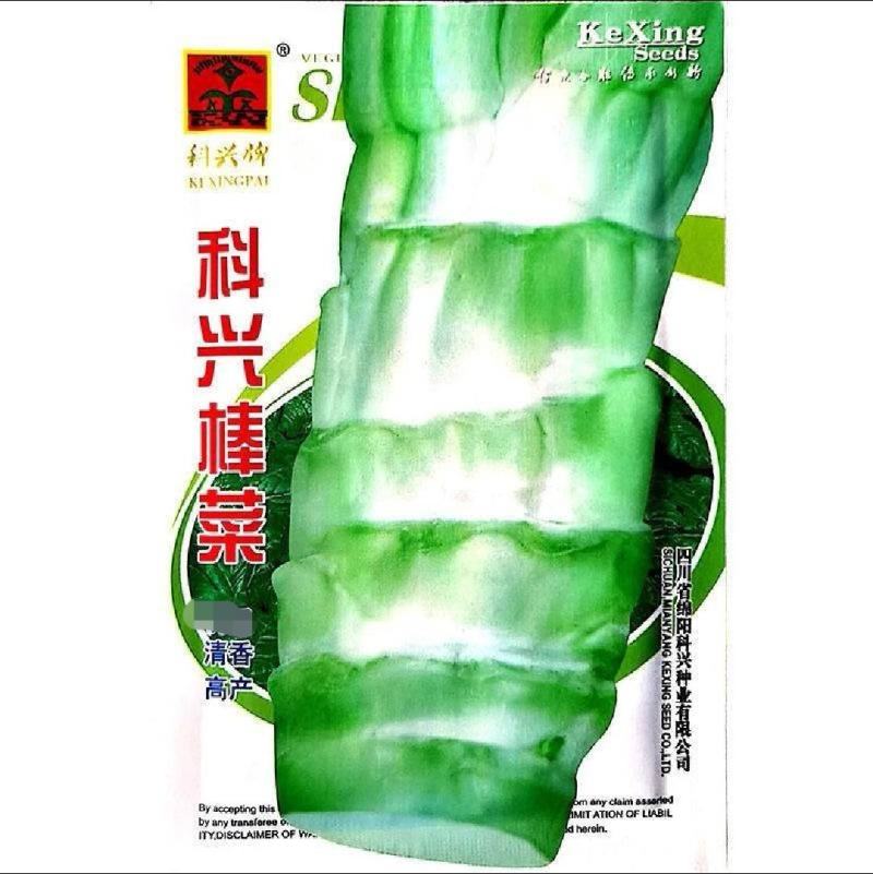棒菜种子四川特色大棒菜春秋季农家种植薄皮棒菜种籽花叶芥菜