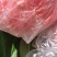 精品优质纸袋阿富白桃季节硬桃