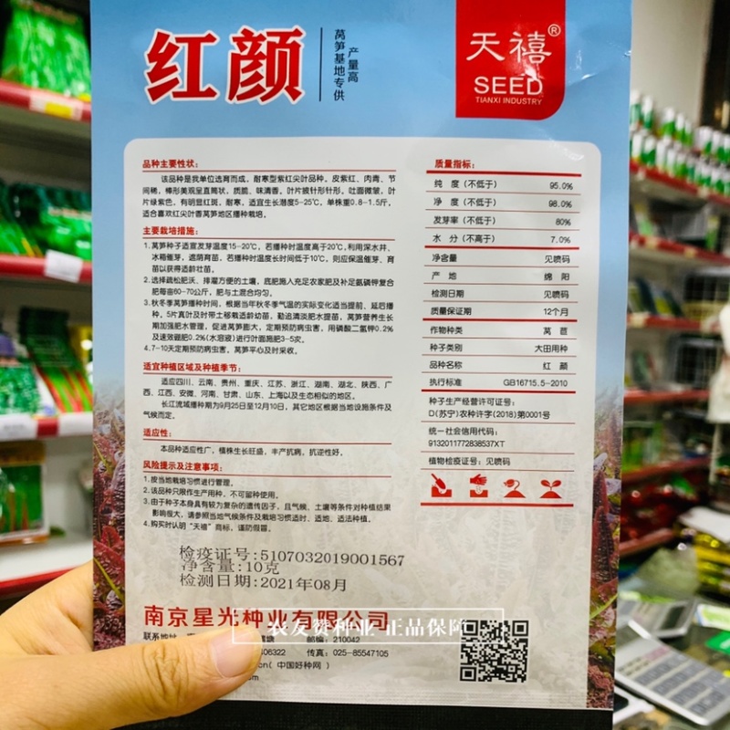 莴笋基地专用耐寒莴笋种子肉绿皮紫清香味浓红尖叶莴笋种子