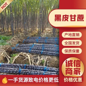 量大从优，黑皮甘蔗，让你买的顺心，看的舒心，脆甜可口。
