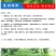 绿肥鼠茅草种子果园绿肥种子抑制杂草改善土壤鼠茅草种籽