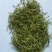 【干货】金银花，手工挑选烘干，保证质量泡茶药用均可